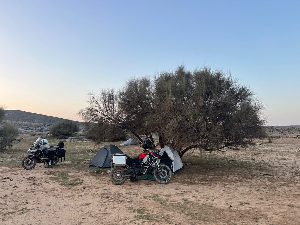 Camp under an acacia tree