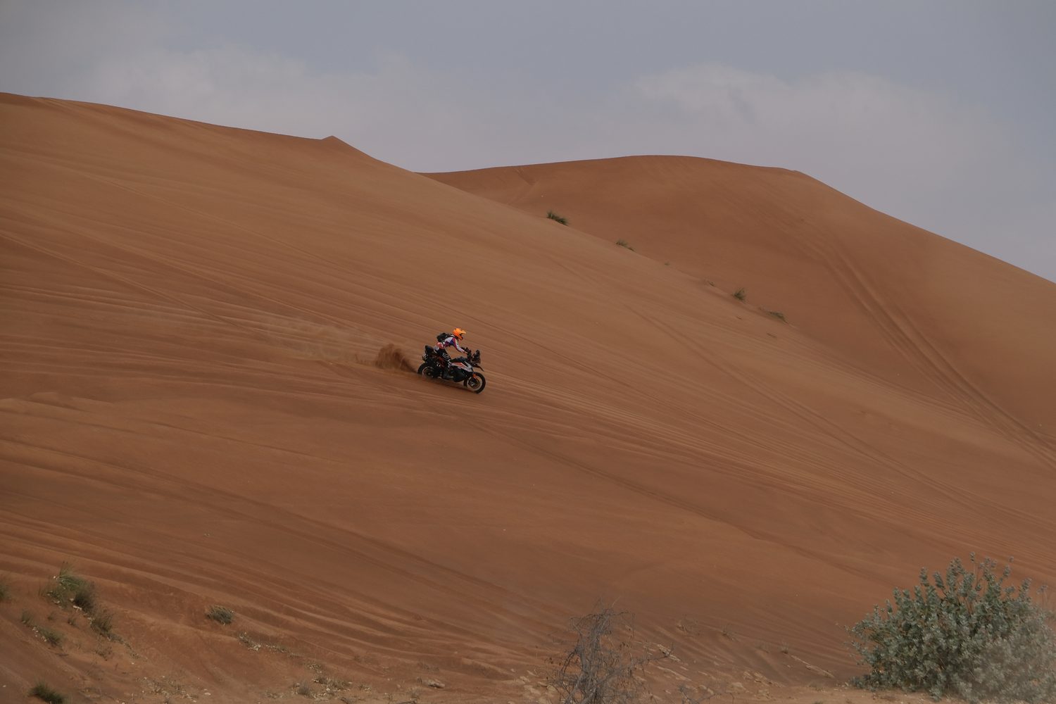 Rider on a dune crest